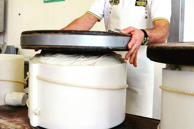 Parmigiano Reggiano & Balsamic Vinegar Private Tour and Tasting - Final Thoughts: Who is This Tour For?