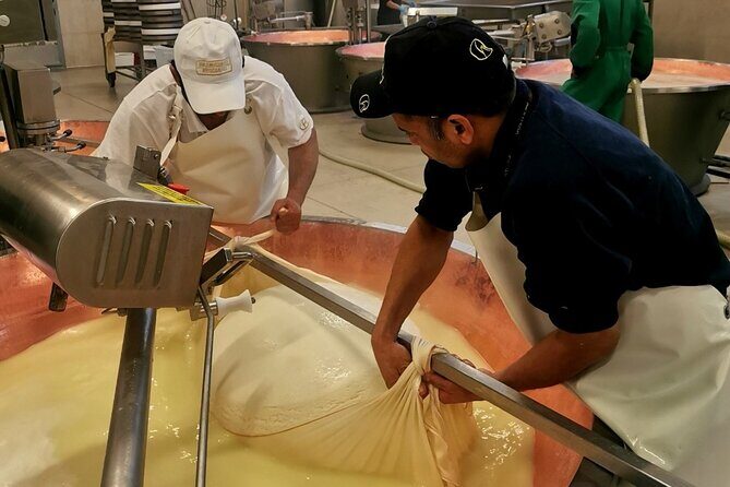 Parmigiano Wine and Balsamic Vinegar Experience from Bologna - An Inside Look at the Itinerary