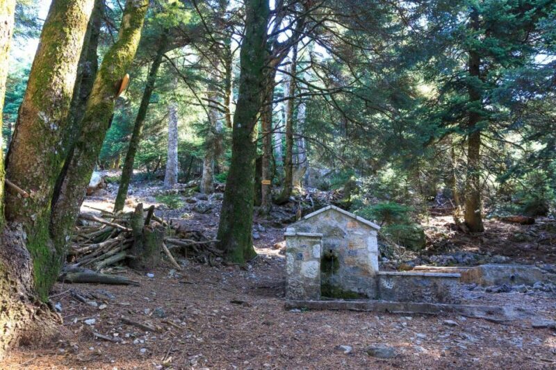 Parnitha (Parnis) / Skipiza & Mola loop - Hike near Athens - What’s Included and What’s Not