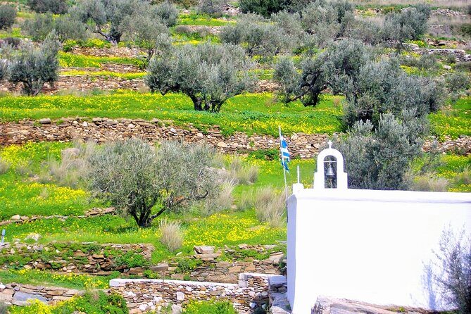 Paros Byzantine Path Ancient Greek Route Hiking Experience - FAQ