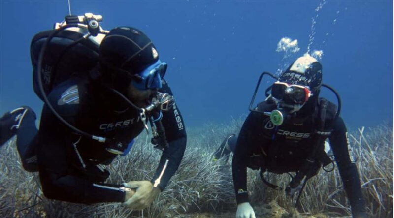 Paros: Scuba Diving Experience - Paros: Scuba Diving Experience – A Practical Look at Exploring Underwater