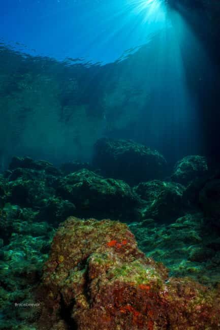 Paros: Scuba Diving Experience - The Experience’s Strengths and Possible Drawbacks