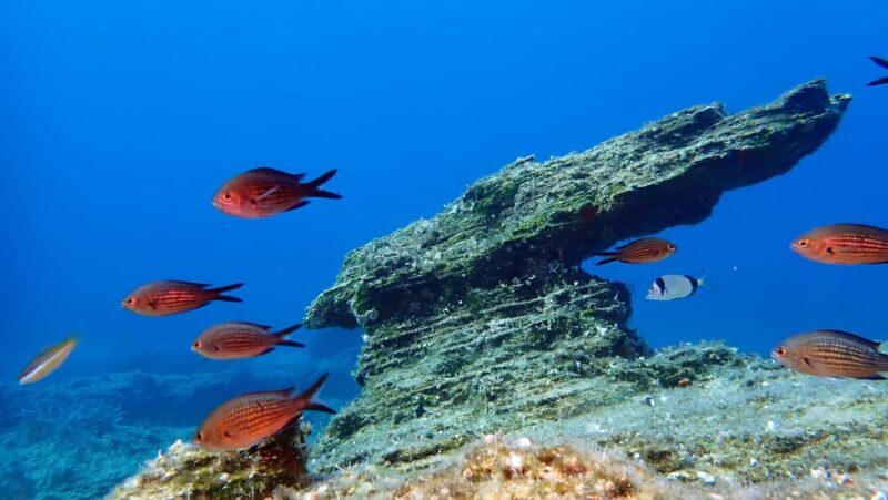 Paros: Scuba Diving Experience - Who Should Consider This Tour?