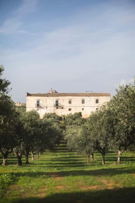 Partinico: Sicilian Olive Grove Walk & Homemade Aperitif - Key Points