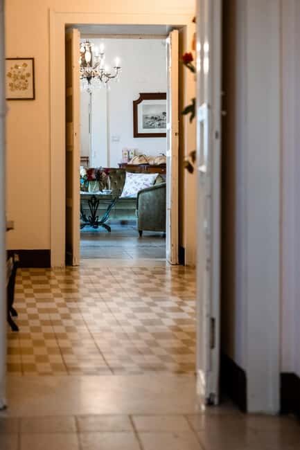 Partinico: Sicilian Olive Grove Walk & Homemade Aperitif - The Value of This Experience