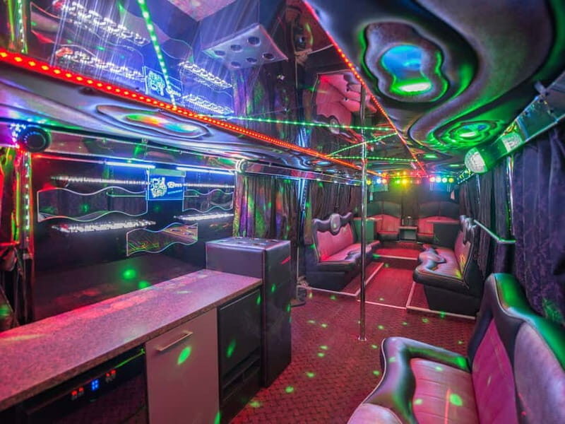 Party Bus & Dancer for 3 hours in Vilnius Private tour - What to Expect from the Vilnius Party Bus Tour