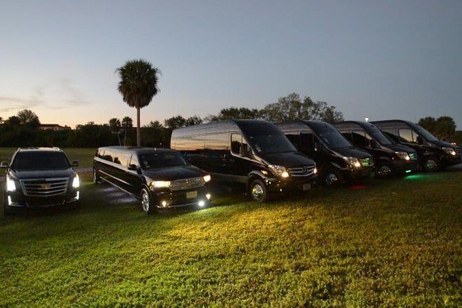 Party Bus Luxury Sprinter Limos - Who Should Consider This Experience?