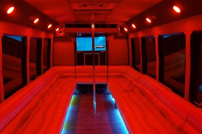 Party Bus Ski and Snowboard Transportation - Who Is This Best For?