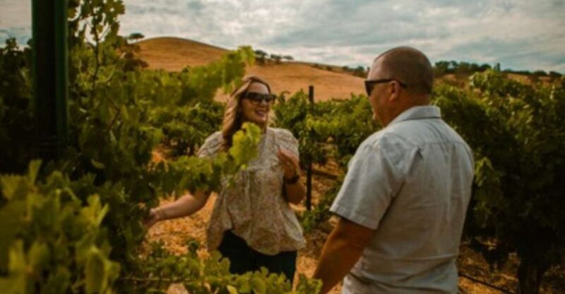 Paso Robles: Grapevine Getaway Exclusive Wine Tour - Key Points