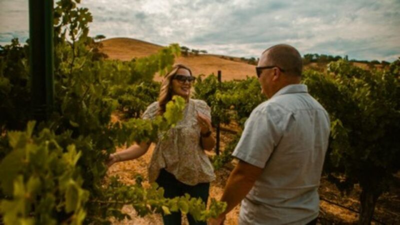 Paso Robles: Grapevine Getaway Exclusive Wine Tour - The Itinerary: What Can You Expect?