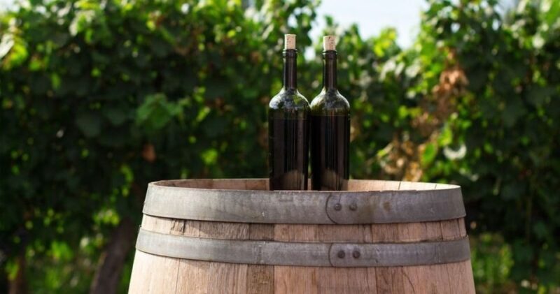 Paso Robles: Grapevine Getaway Exclusive Wine Tour - Who Should Consider This Tour?