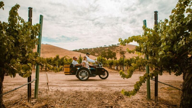 Paso Robles: The Luxe Wine Trail Excursion - The Review Scene: What Travelers Say