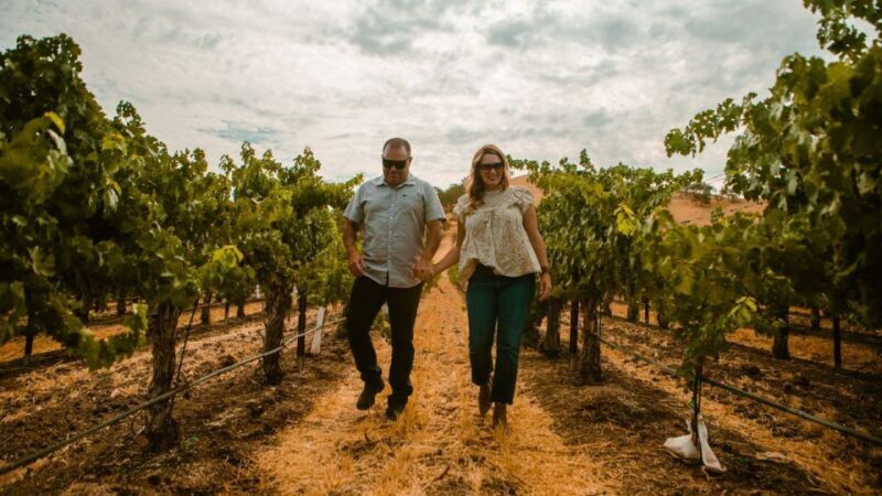 Paso Robles: The Luxe Wine Trail Excursion - Who Would Enjoy This Tour?