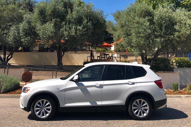 Paso Robles Wine Tour: We Drive Your Vehicle - Downsides and Considerations