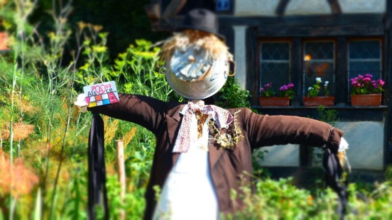 Pass Alsace : The Best of Alsace in your Pocket - What is Pass Alsace?