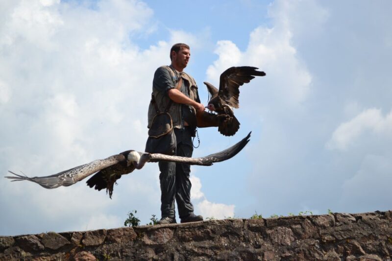 Pass Alsace : The Best of Alsace in your Pocket - What Will You Experience?