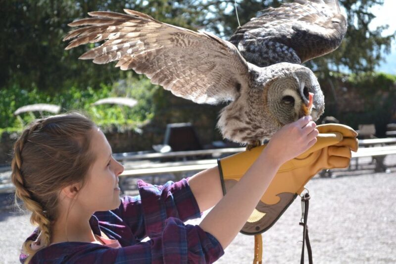 Pass Alsace : The Best of Alsace in your Pocket - Who Will Love It?