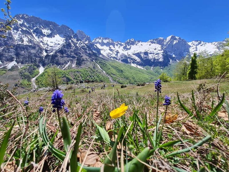 Pass Valbona - Theth: Albanian Alps in a 3-Day Trip - Key Points