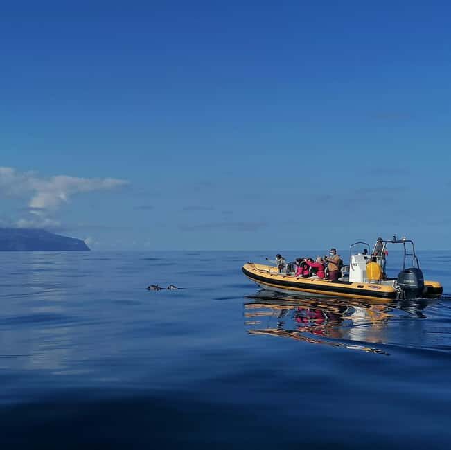Passeios Turísticos: Trip to Corvo by Boat - An Honest Look at the Boat Trip to Corvo