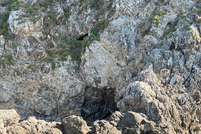 Passenger transfer service from Torre Faro (Messina) to Scilla round trip - The Experience in Detail