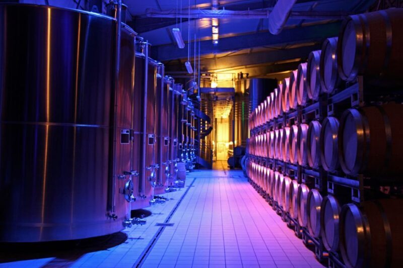 Passy-Grigny: Chocolate and Champagne Tasting Tour - Final Thoughts