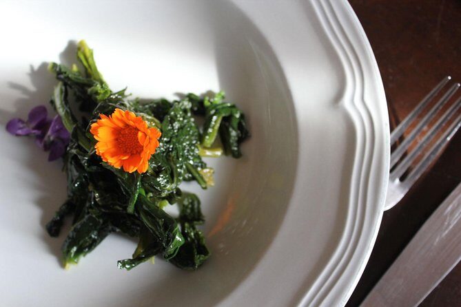 Pasta Class in Bologna in a 15th-Century Estate Home with Chiara - Key Points