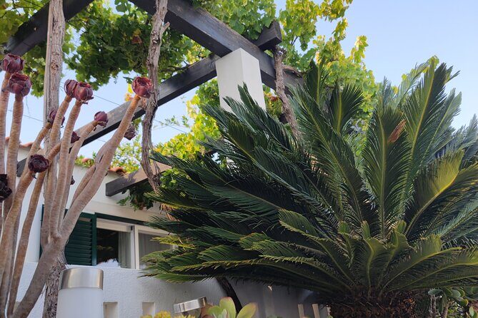 Pastel de Nata Perfection: Hands-On Class in Algarve - The Downside