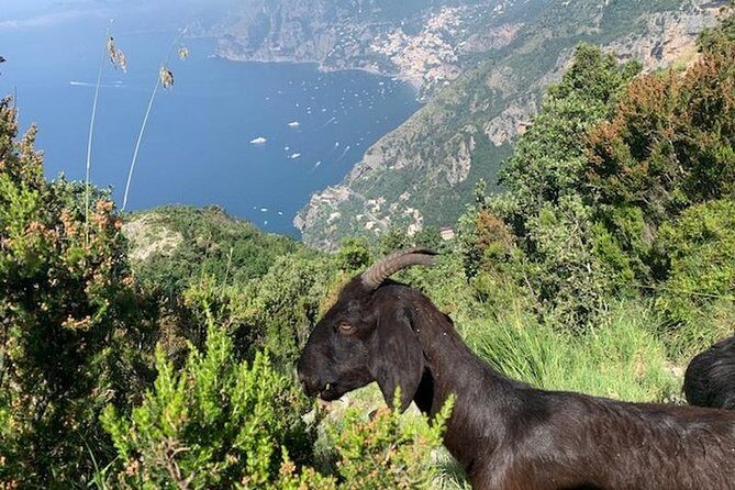 Path of the gods hike - What’s Included and What’s Not?