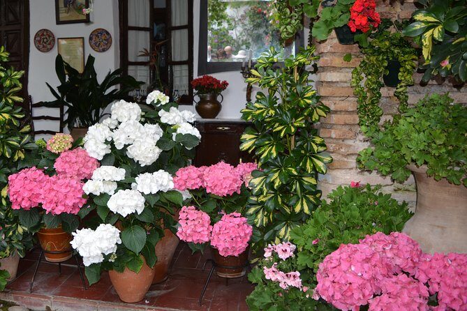 Patios & Perfums of Cordoba Festival Tour - Key Points