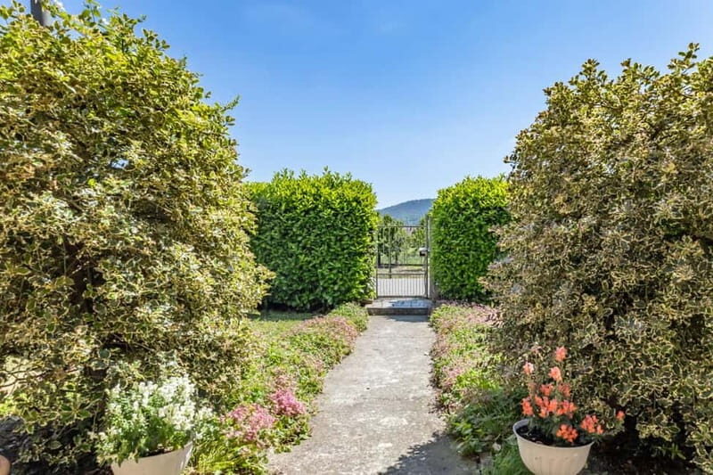 Pavia: Dining Experience at a Local's Home - The Experience Breakdown: What You Can Expect