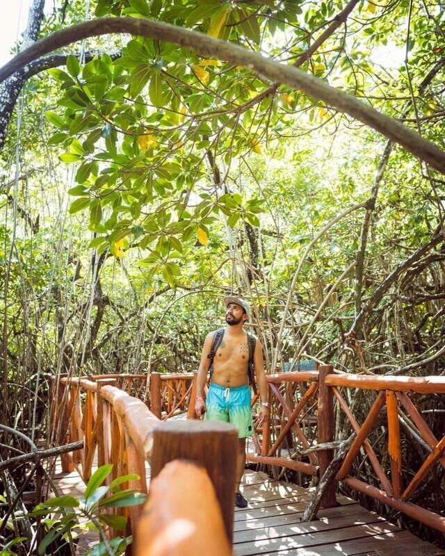 PDC: Eco Adventure at Cenotes Casa Tortuga & Tulum Ruins - FAQs