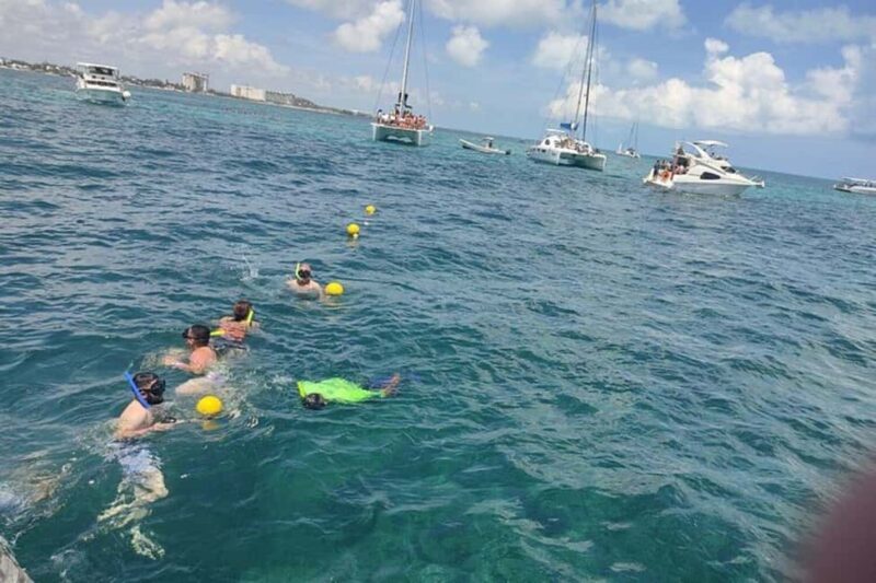 PDC: Isla Mujeres Catamaran Tour with Snorkeling - Snorkeling and Underwater Highlights