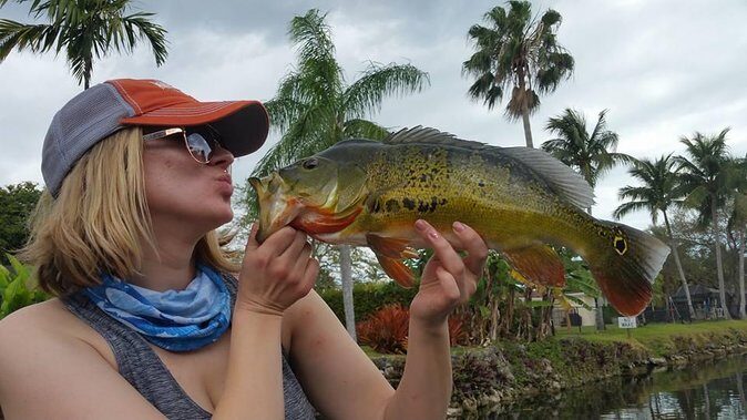 Peacock Bass Fishing Trip in Boynton Beach - Key Points