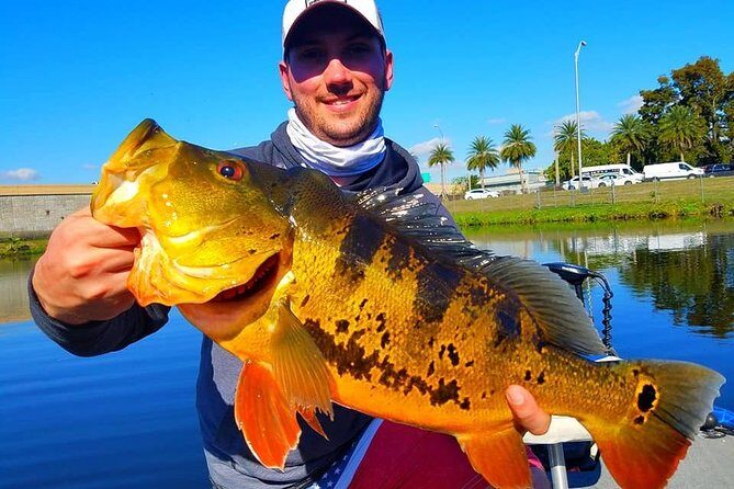 Peacock Bass Fishing Trip in Boynton Beach - What to Expect from the Experience