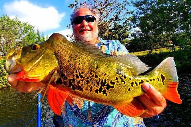 Peacock Bass Fishing Trip near Miami South Beach - The Cost and Its Value