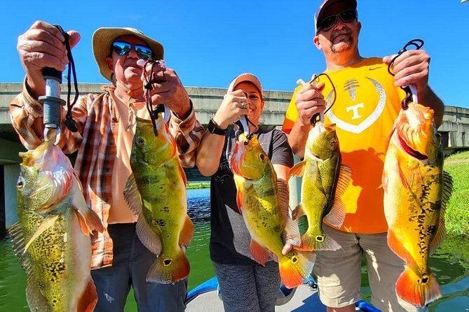 Peacock Bass Fishing Trips near Boca Raton - Practical Details & Considerations