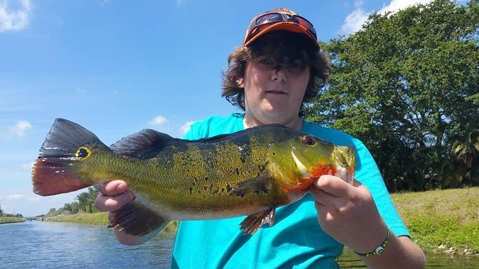 Peacock Bass Fishing Trips Near Key Largo - Key Points