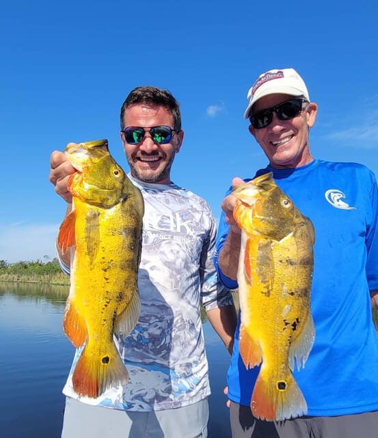 Peacock Bass Fishing Trips Near Miami Florida - What to Expect from the Peacock Bass Fishing Trip