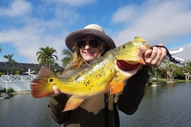 Peacock Bass Fishing Trips near Palm Beach Florida - Key Points