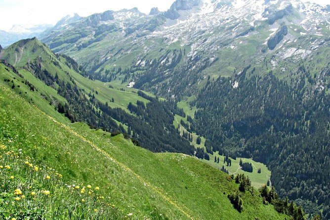 Peak to Peak Private Hiking Tour from Lucerne - Practical Tips for Your Hike