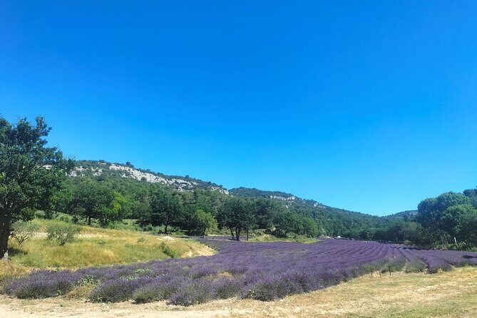 Pearls of Luberon : Gordes, Rousillon & Sénanque Abbey - A Deep Dive into the Tour Experience