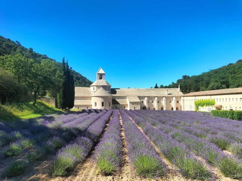 Pearls of Luberon: Gordes, Rousillon & Senanque private trip - Key Points