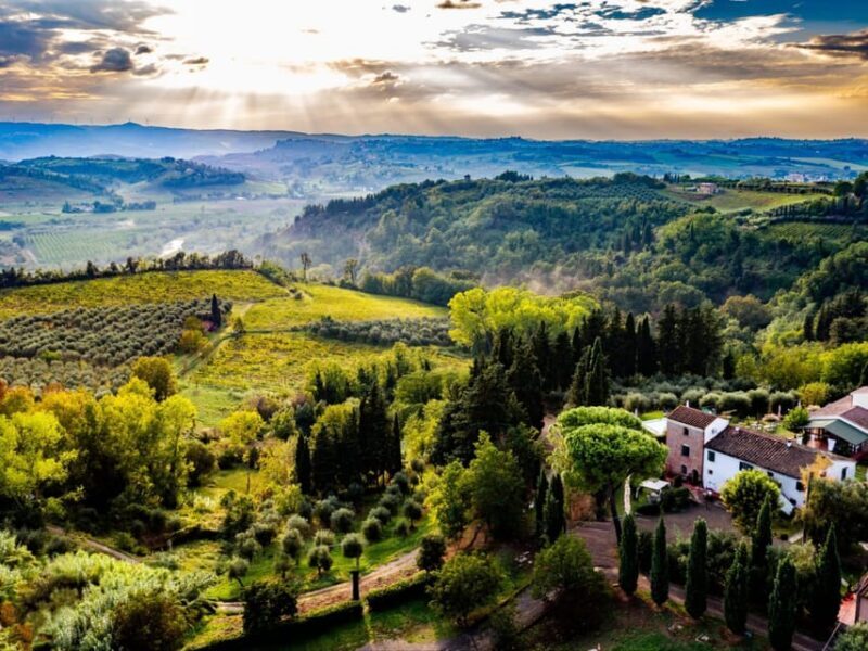 Peccioli: Wine tasting experience - Key Points