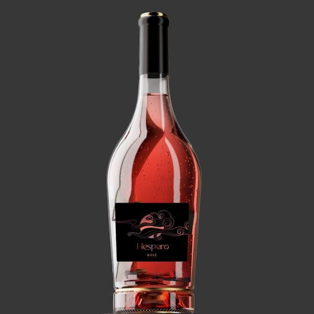 Peccioli: Wine tasting experience - Who Will Love This Experience?