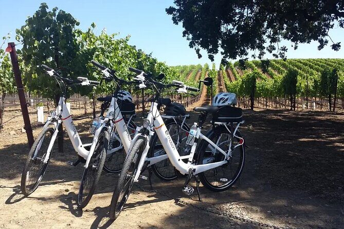 Pedal and Paddle Wine Tour in Arizona - What to Expect from the Pedal and Paddle Wine Tour