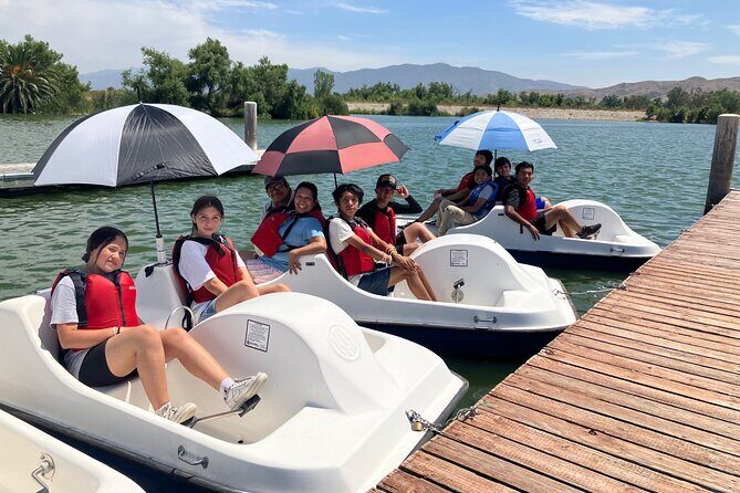 Pedal Boat Ride in Chino - What to Expect from the Pedal Boat Ride in Chino