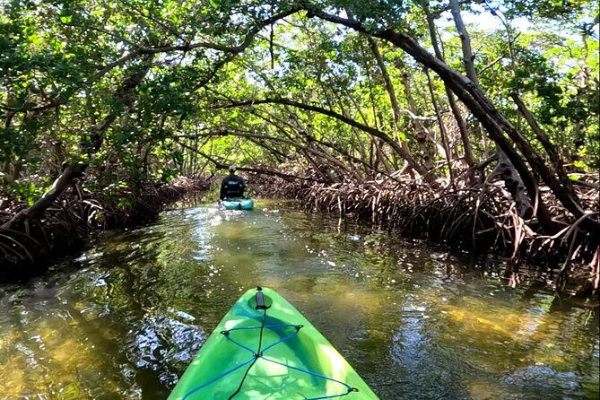 Pedal Kayak Mangrove Tunnel Tour in Bradenton - Stop 1: Terra Ceia