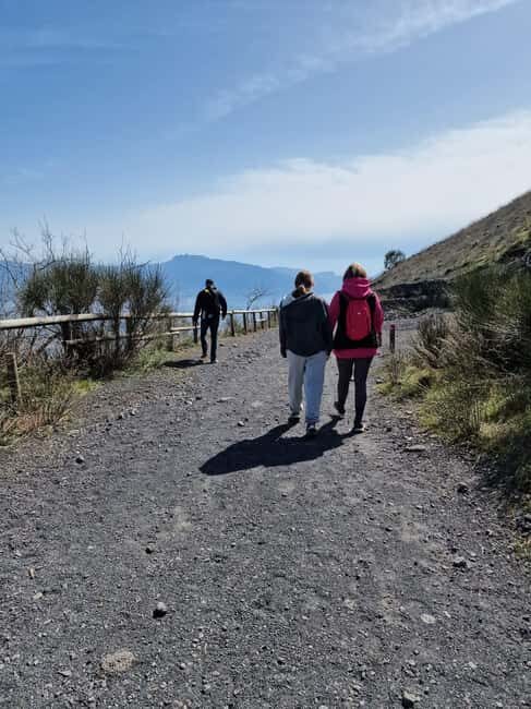 Pedal to Vesuvius and Discover the Crater of the Volcano - Visitor Experiences and Insights