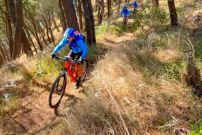 Pedals & Flavours: Sorrento oil and lemon tour - Key Points