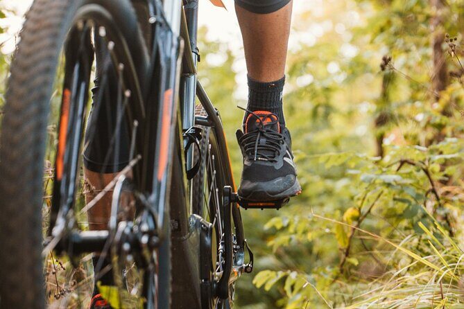 Pedals & Flavours: Sorrento oil and lemon tour - What do travelers say?